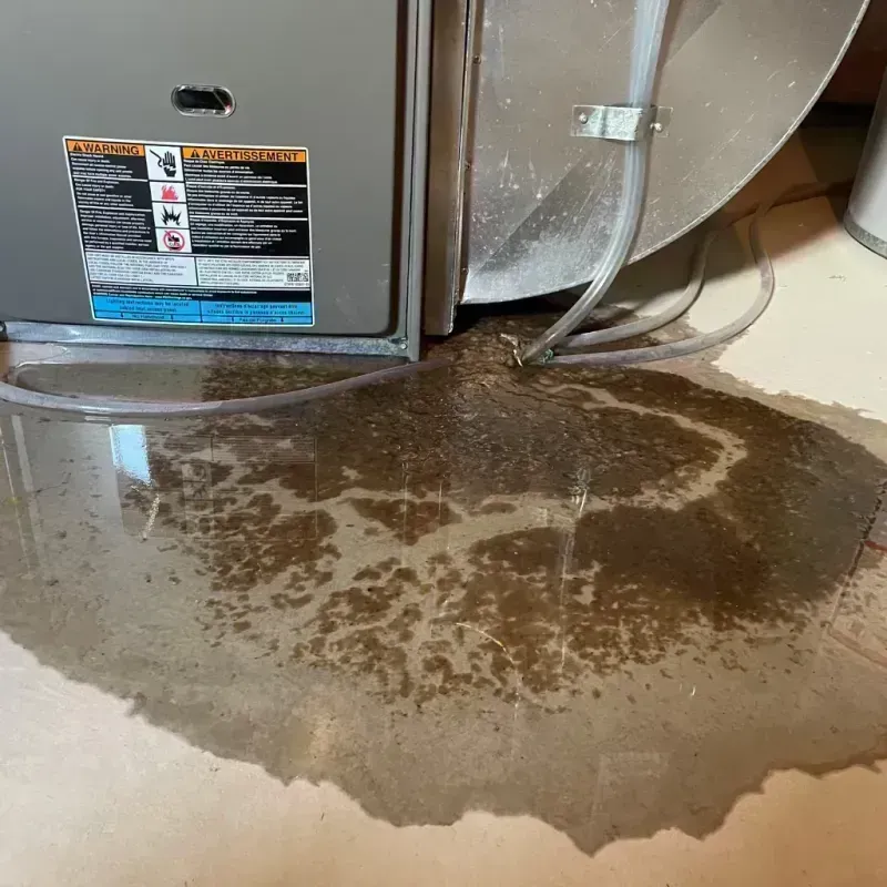 Appliance Leak Cleanup in Elkins, WV